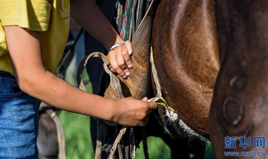 (特別的暑期生活·圖片故事)(7)草原女孩錫林花的暑期“歡樂時(shí)光”