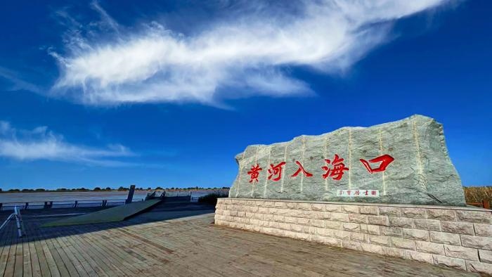 △黃河入?？谖挥谏綎|東營市墾利區(qū)。(總臺央視記者彭漢明拍攝)