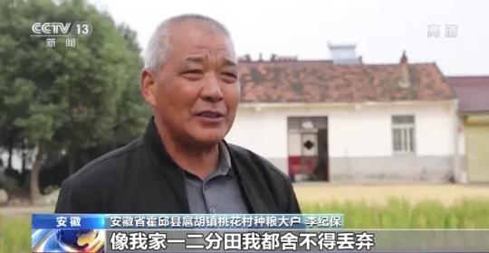 十八連豐！秋收近九成 我國(guó)糧食產(chǎn)能穩(wěn)步提升