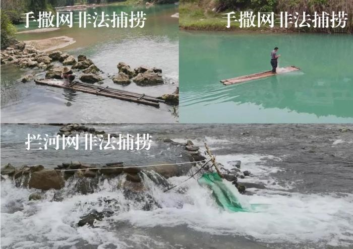 2021年9—10月，前期暗查發(fā)現(xiàn)，保護(hù)區(qū)核心區(qū)內(nèi)非法捕撈行為十分猖獗