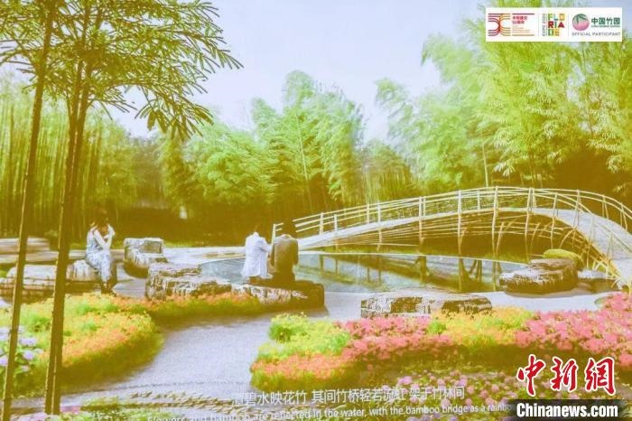 圖為活動現(xiàn)場通過視頻展示“中國竹園”設計方案。　荷蘭駐華大使館供圖