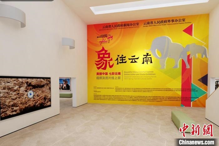 圖為“象”往云南——美麗中國 七彩云南視頻及圖片線上展截圖?！『h航 攝