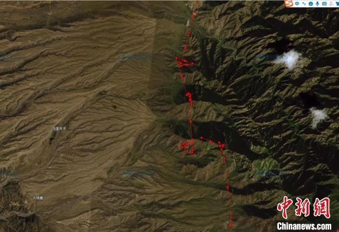 圖為雪豹故地重游來到放歸地的足跡?！?nèi)蒙古賀蘭山國家級自然保護(hù)區(qū)供圖