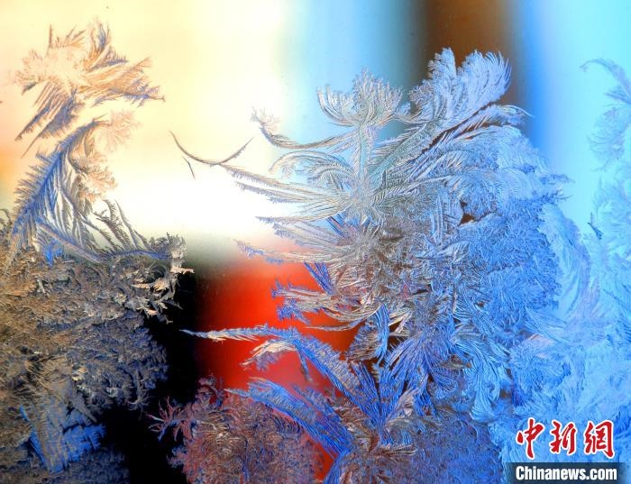 冰窗花千姿百態(tài)?！O書(shū)程 攝