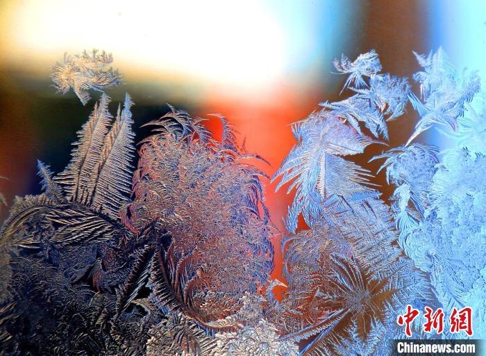 惟妙惟肖的冰窗花，似一幅風(fēng)景畫(huà)。　孫書(shū)程 攝
