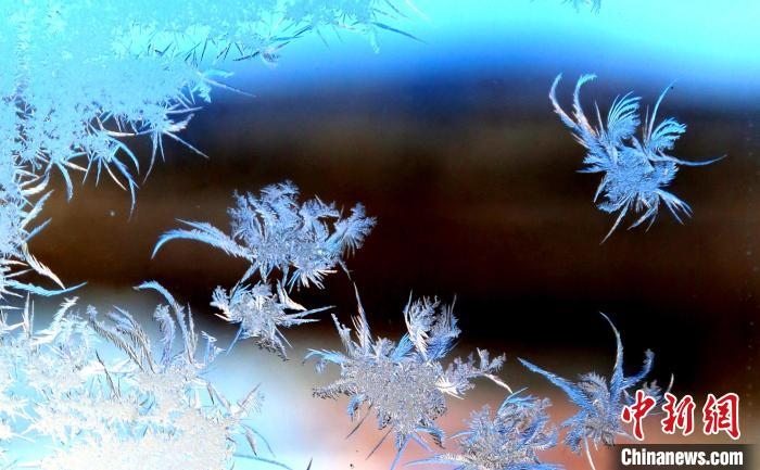 玉樹(shù)瓊枝盈滿窗?！O書(shū)程 攝