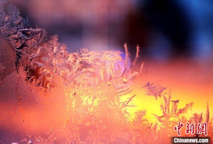 迎著光亮，冰窗花絢麗多姿?！O書(shū)程 攝