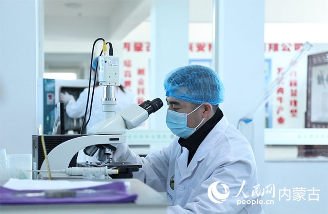 內(nèi)蒙古中農(nóng)興安種?？萍加邢薰韭鋺艨朴抑衅?，為肉牛產(chǎn)業(yè)發(fā)展提供了優(yōu)質(zhì)的種源保障。白俊華攝