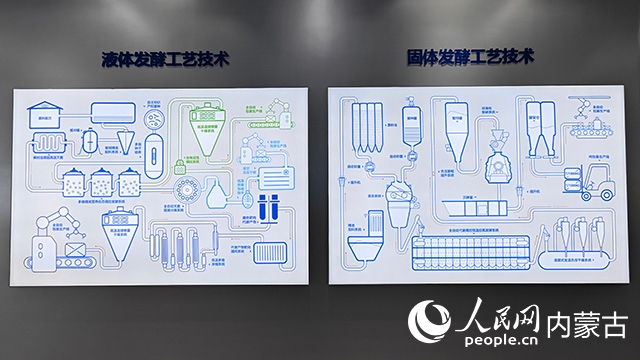 科拓生物工藝技術展示。人民網記者 張雪冬攝