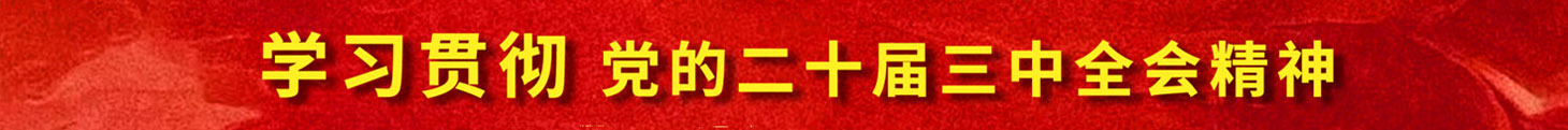 學(xué)習(xí)貫徹黨的二十屆三中全會(huì)精神