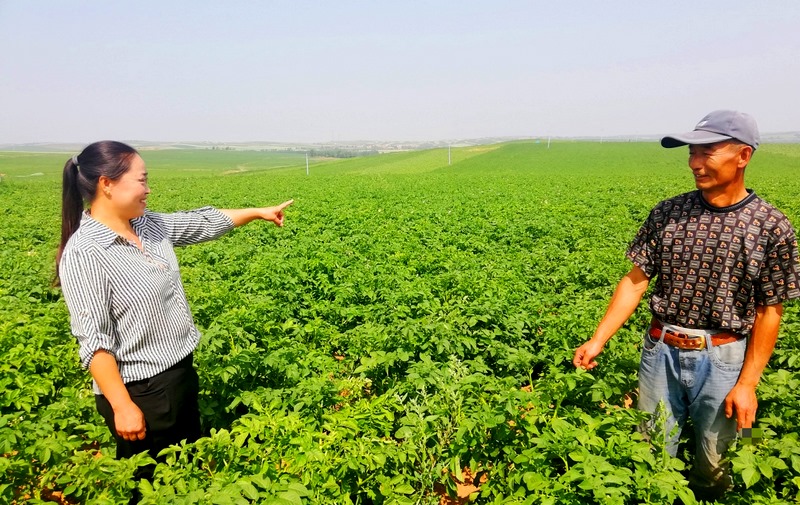 1629103016537936.png 圖片6.png