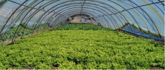 1639364291122894.png 6ac9f605cab4aa380f8f991f28427bb11967.png