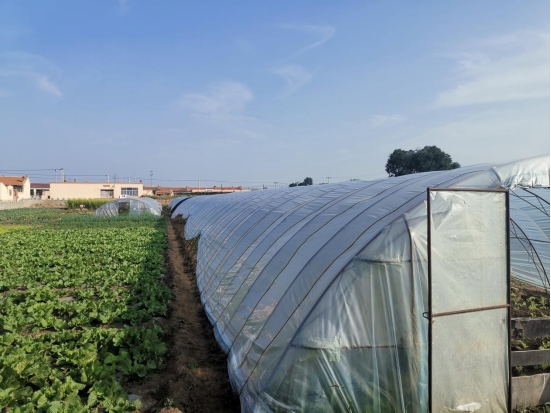 1639364302129680.png 6ac9f605cab4aa380f8f991f28427bb11968.png