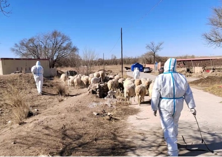 1645757599389480.png 武川縣上禿亥鄉(xiāng)下圪奔村黨員先鋒隊(duì)(7)(1)2142.png