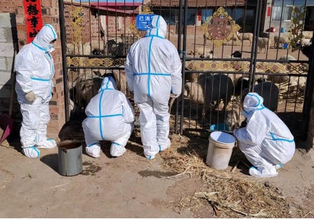 1645757617190932.png 武川縣上禿亥鄉(xiāng)下圪奔村黨員先鋒隊(duì)(7)(1)2297.png