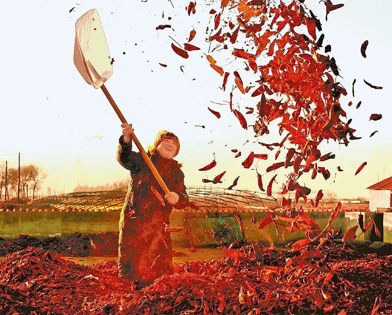 1647394744927420.jpg 微信圖片_20220316092256.jpg