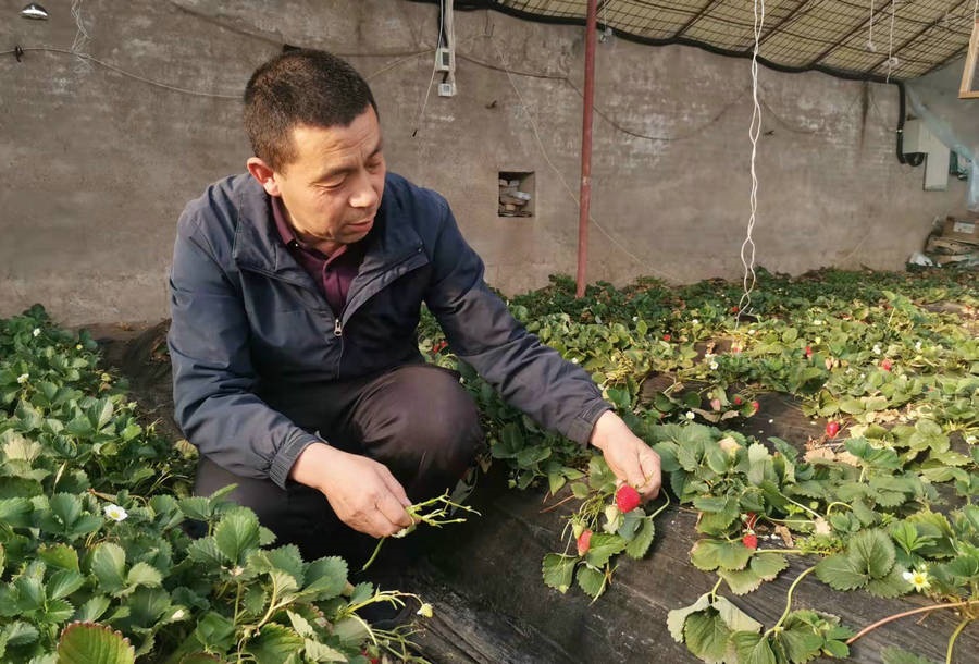 1648810377497447.jpg 微信圖片_20220401184356.jpg