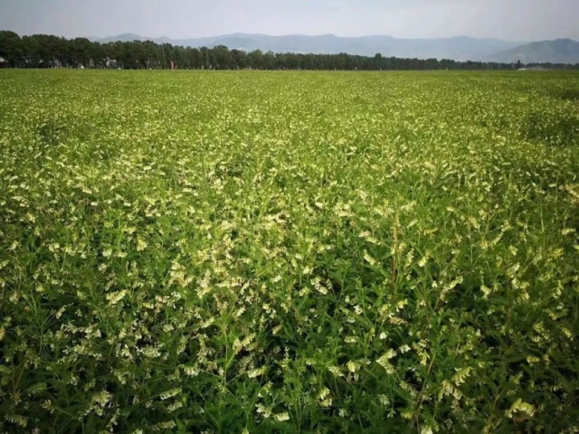 1651824883706151.png A86D2F4CBC572D90059112F1614E8028.png