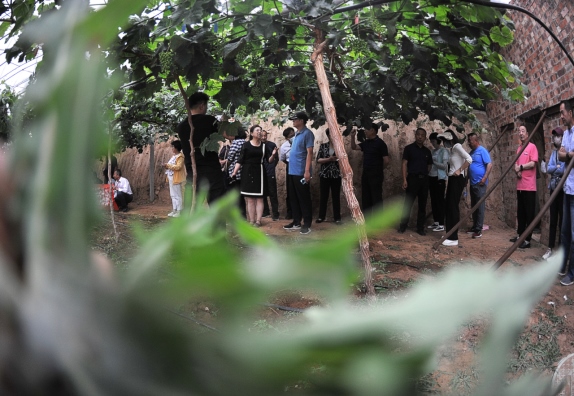 1655301732893985.png b5b501c40bfa402eb81ae1599169ef19623.png