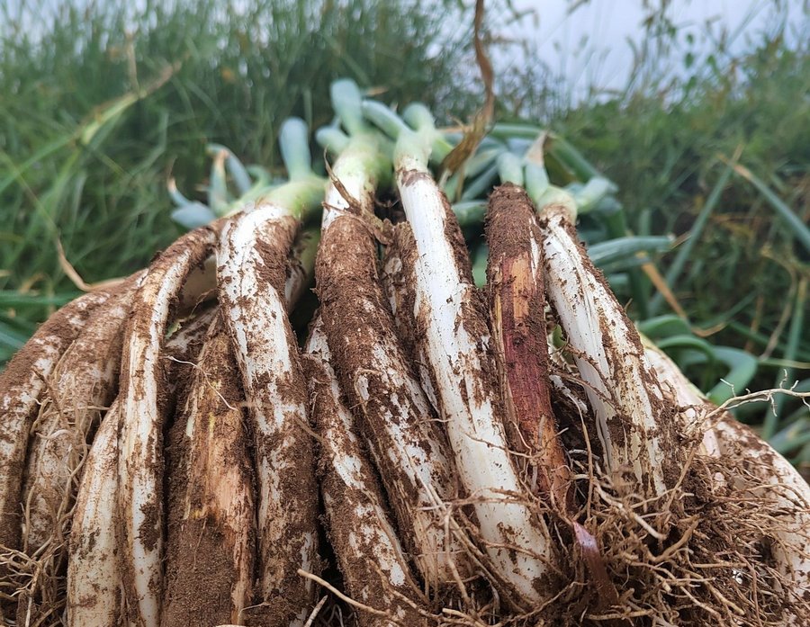 1664158763696125.jpg 微信圖片_20220926101137.jpg