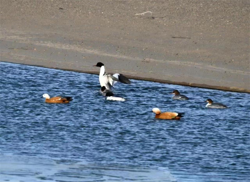 1677550594909304.jpg 微信圖片_20230228095717.jpg