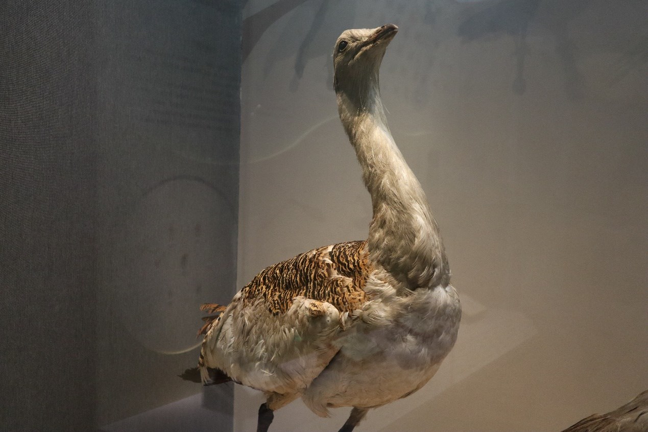 1685415292128979.png 圖片3.png