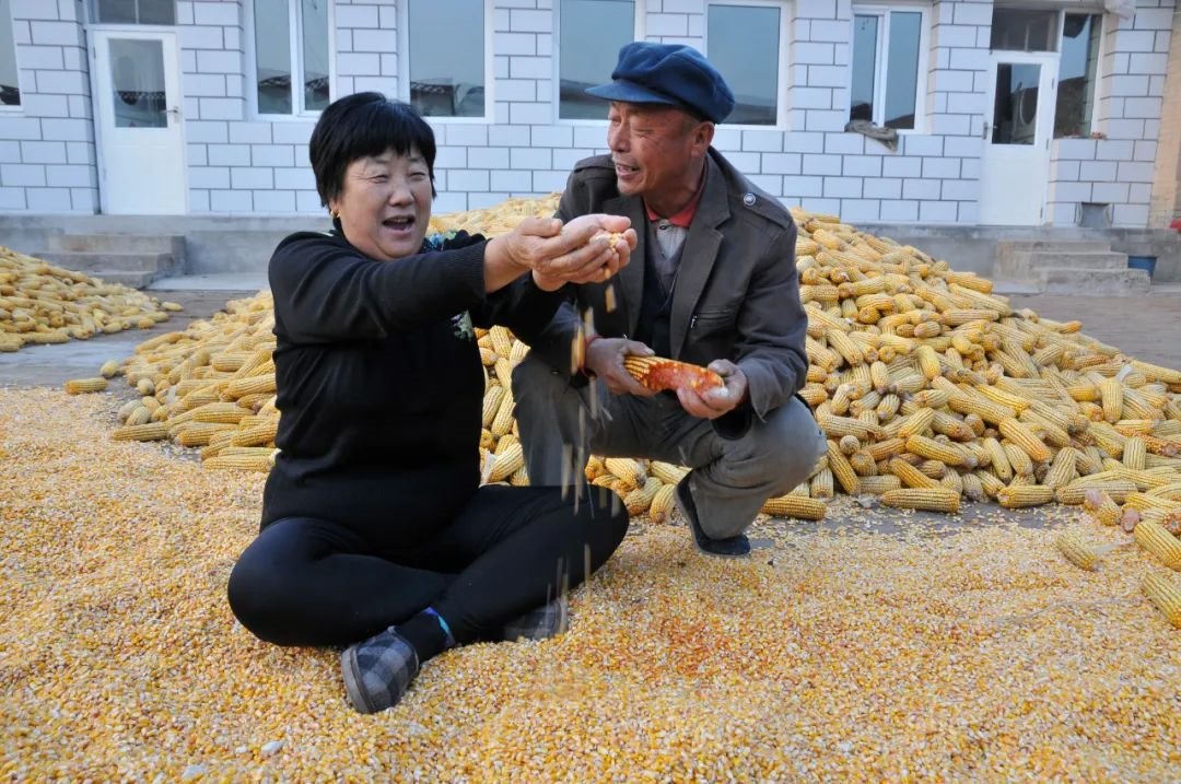 1691816470138153.jpg 5.jpg