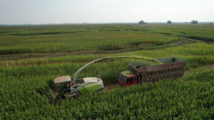 1695024555968731.jpg 2.jpg