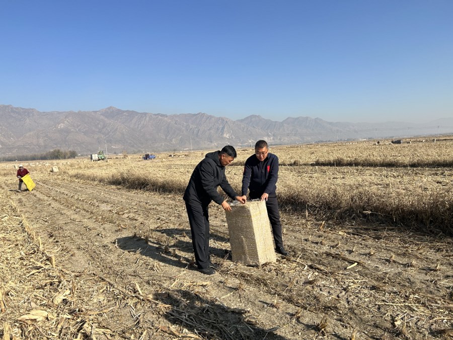 1698335004187145.png 02.png