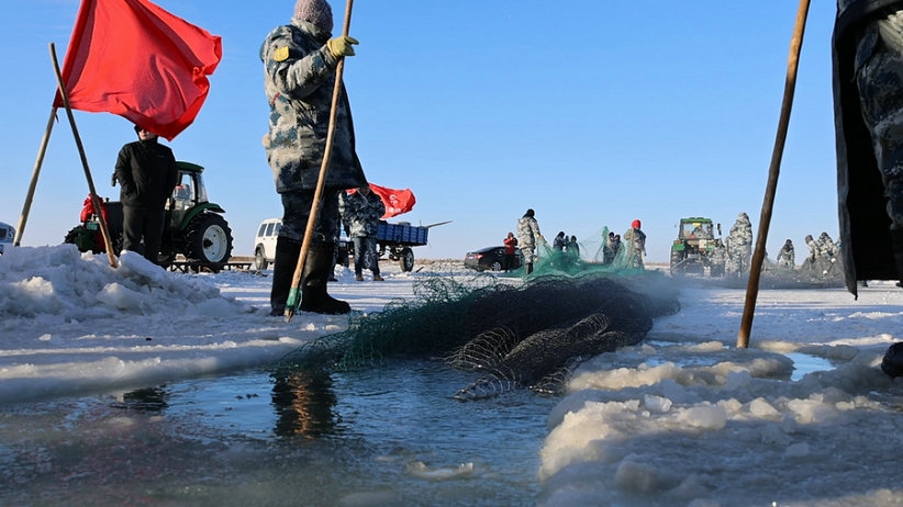 1703553484651931.jpg _O6I3470.JPG