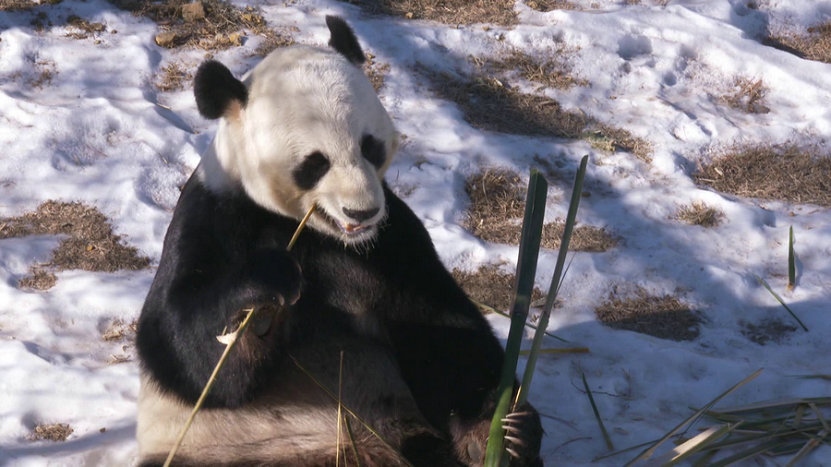 1703663485452048.jpg 3.jpg