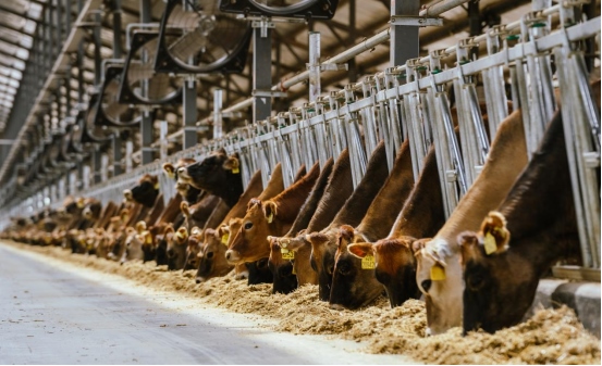 1707316349196526.png 9bbf05b6050d98980688ee7582204eb7882.png