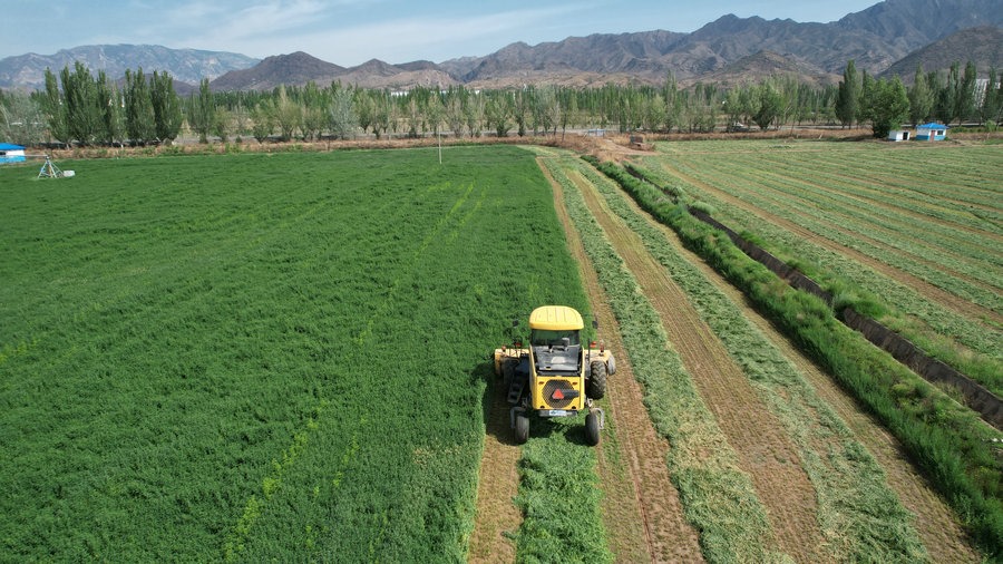 1716886059850523.jpg _O6I3470(2).JPG