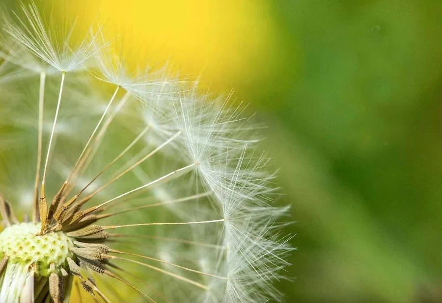 1719929309256039.png 640-2.png