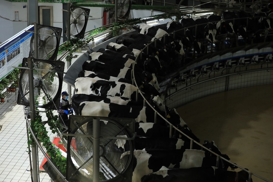 1724638196122666.jpg 微信圖片_20240825152055.jpg