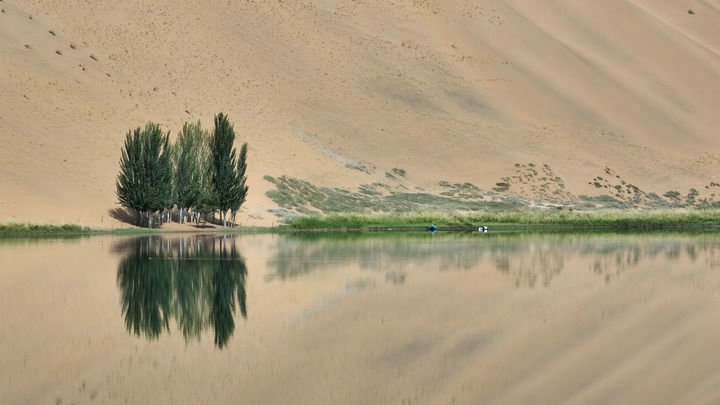 1727315373122063.jpg 0c96229ba7c836090d159a55636e285.jpg