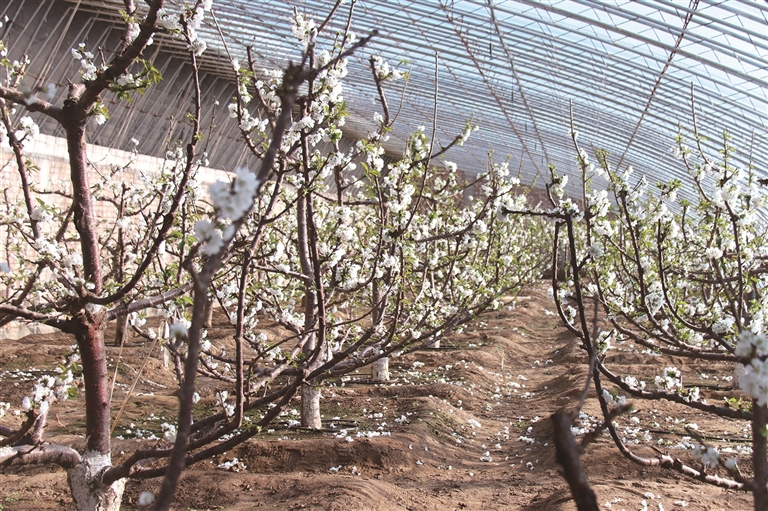 1733902159295929.jpg _K4I9674(1).JPG