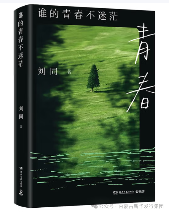 1755844736928023.png 1.png