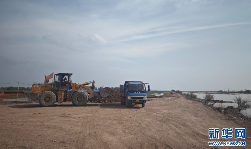 1757230468125222.jpg 02.jpg