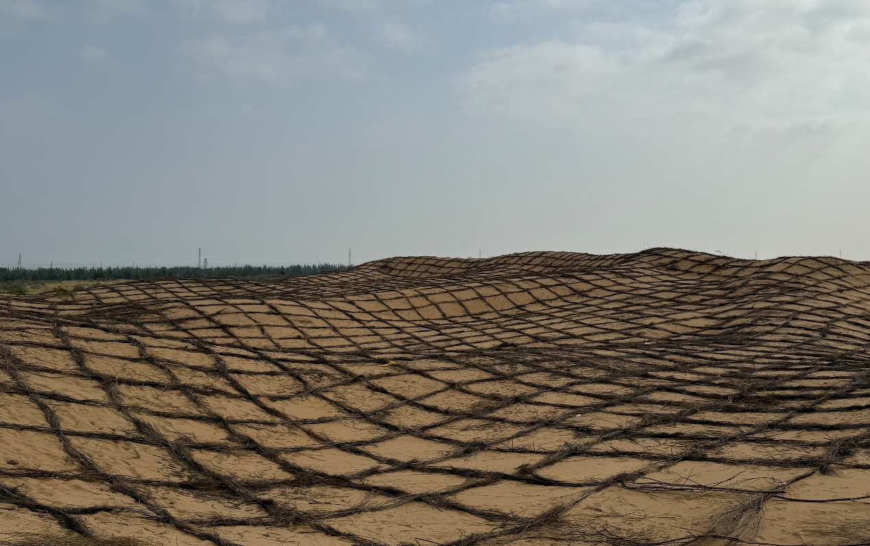 1757917329944805.png 圖片2.png