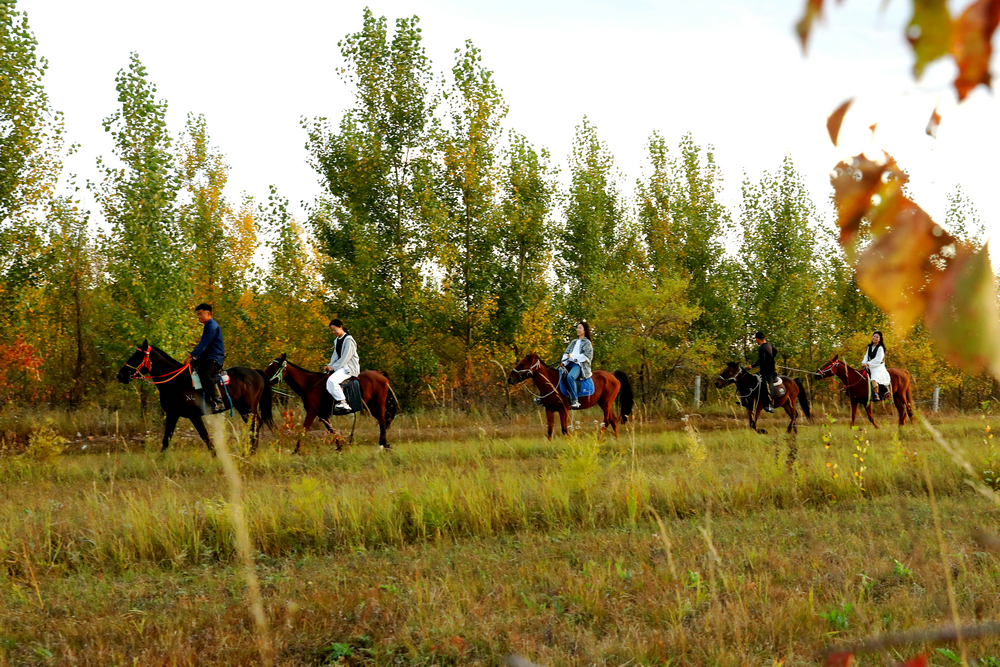 1758817116926129.jpg 7O5A7921.jpg