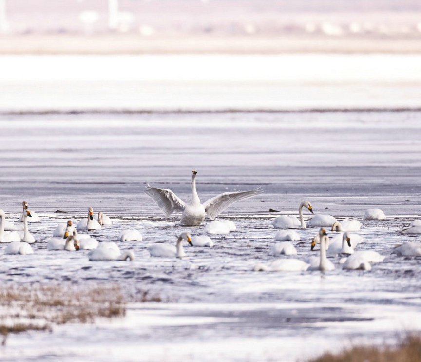 1760671378859645.jpg 文旅1.jpg