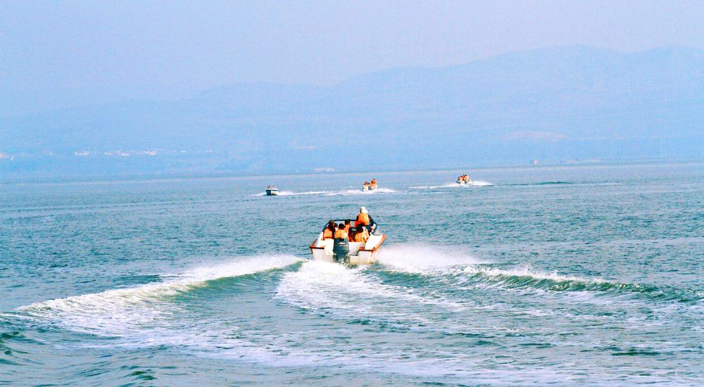 1763024034197300.jpg 岱海張楊攝影3.jpg