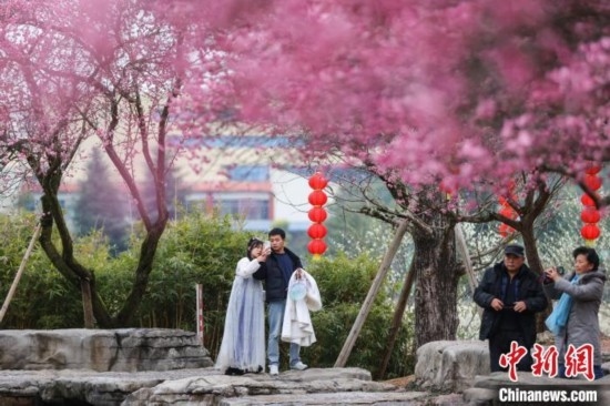 2月23日，市民在乾藝梅園景區(qū)觀賞綻放的梅花。瞿宏倫 攝