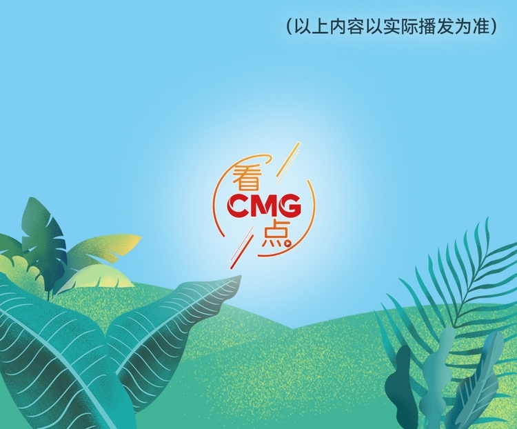 總臺周看點，來了！