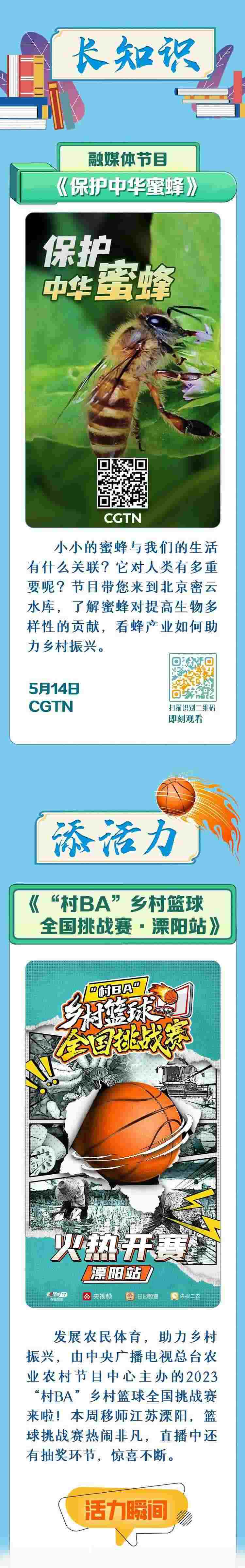 總臺周看點，來了！