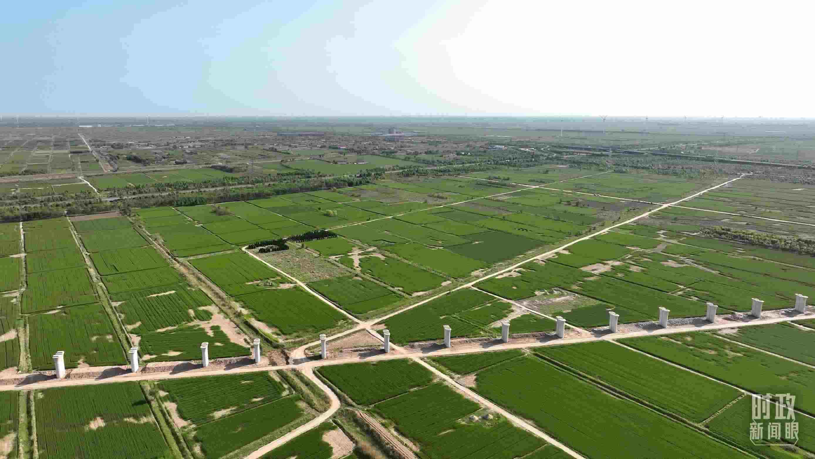 時政新聞眼丨習(xí)近平考察河北滄州，關(guān)注這些“國之大者”