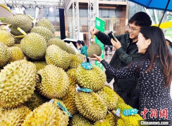 圖為廣西南寧市民在選購(gòu)榴蓮。黃艷梅 攝