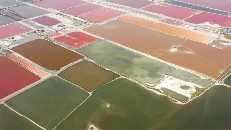 鑒往知來，跟著總書記學(xué)歷史丨走進(jìn)一座博物館，尋根五千年中華文明