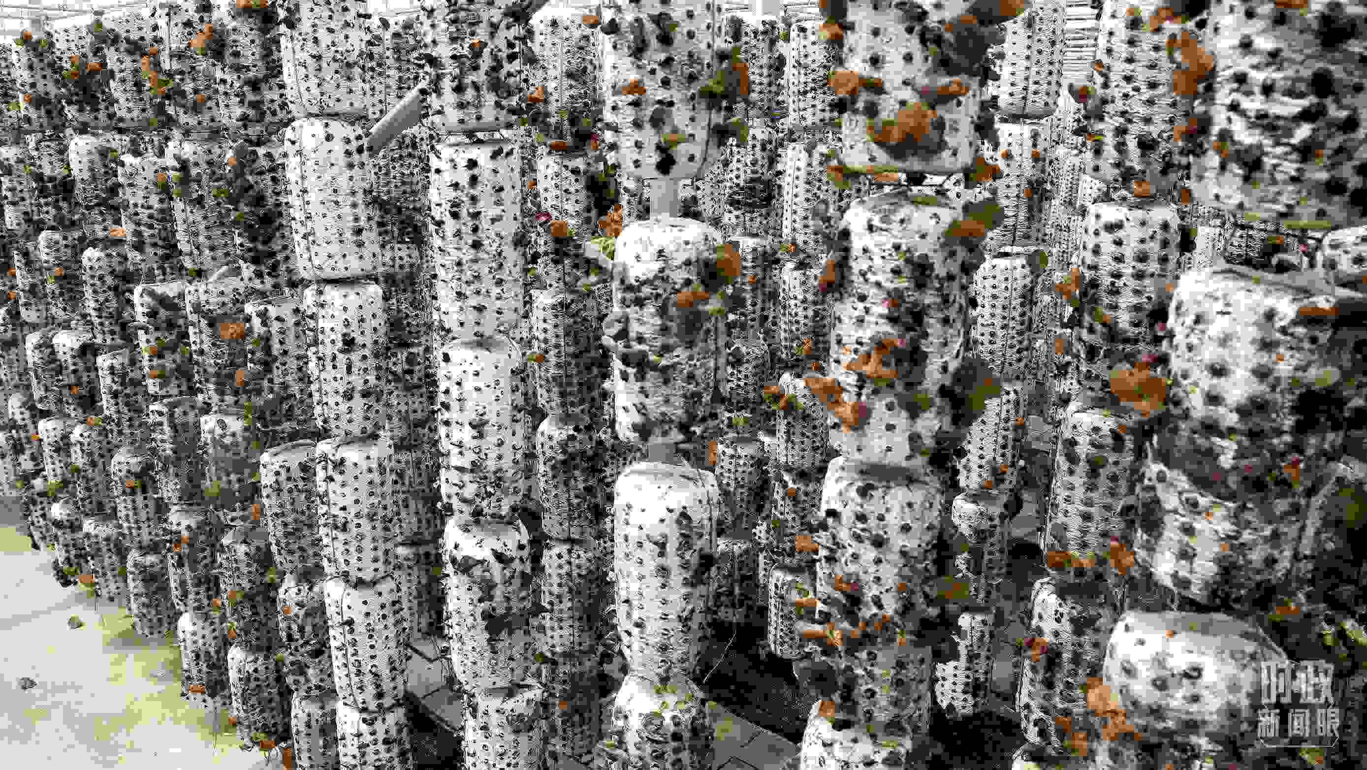 △金米村的小木耳、大產(chǎn)業(yè)。（圖／視覺中國(guó)）